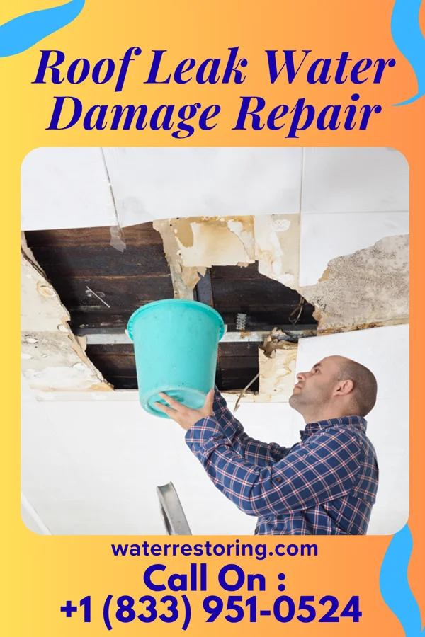 Roof Leak Water Damage Repair in North Salem, IN