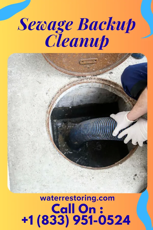 Sewage Backup Cleanup in North Salem, IN