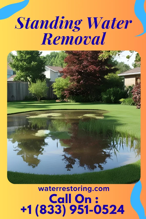 Standing Water Removal in North Salem, IN